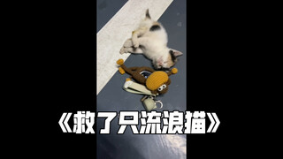 Ngày sinh nhật tôi gặp hai bé đáng yêu