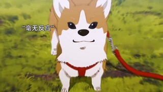 危门，我愿称之为近几年最强纯爱