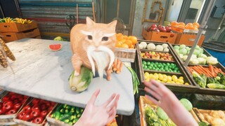 Encountering Hajixian at the vegetable market