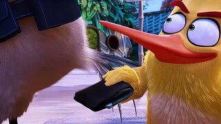 Quicksilver among birds, Dart Yellow, have you ever seen a bird with super speed?