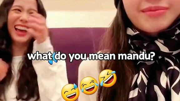 *Blink called Lisa Mandu and Jisoo be like 😅😂🤣