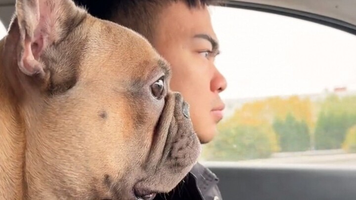 It's so true that dogs resemble their owners! Hahaha...