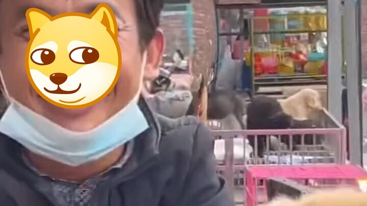 ต่อไปใครกล้าอ้างว่าตัวเองเป็นหมาเลียก็ให้ฉันดูหน่อย!