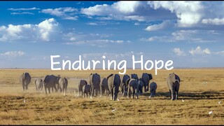 Daniel Deuschle - Enduring Hope