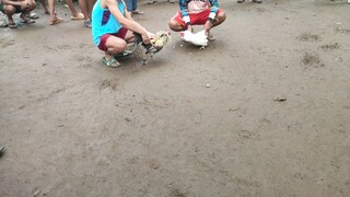 first fight NI hiraw panot