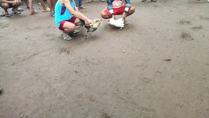 first fight NI hiraw panot
