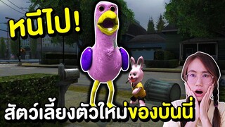 เมื่อบันนี่เลี้ยงนก Opila bird | Mind&Nat