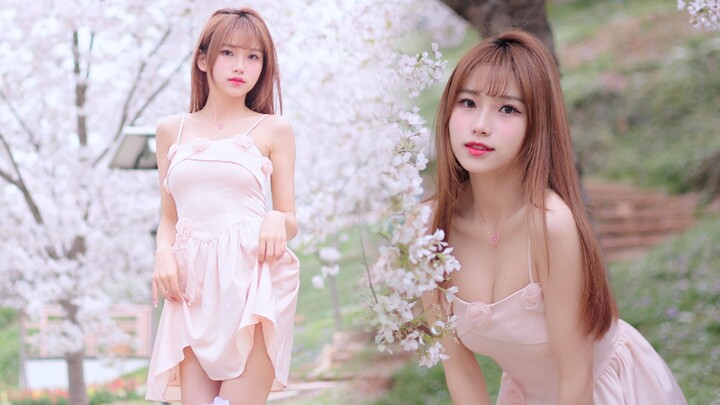 "Apalah arti musim semi tanpa bunga sakura dan gadis-gadis cantik!"