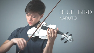 Naruto Shippuden - Blue Bird - ปกไวโอลิน โดย Alan Milan
