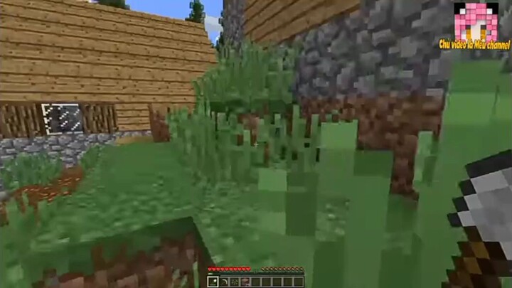 chị mều yêu Anh Redhood