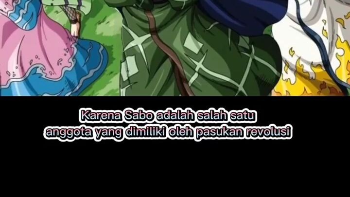 Apakah Sabo akan mati seperti Ace