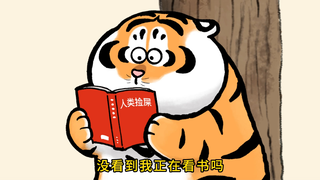 哇~好可爱的猫咪呀！！