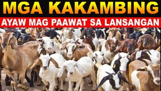 NAG INGAY NANAMAN REACTION VIDEO