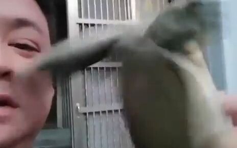 Kesalahan Si Pemancing