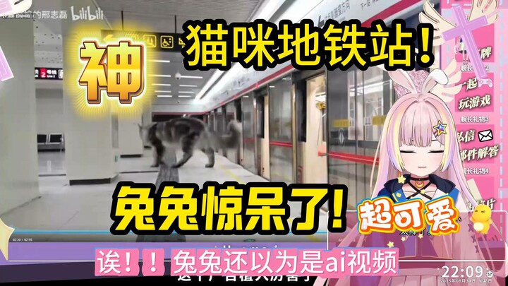 [Yueno Usagi] A Japanophile who loves small animals was deeply moved after watching “The Cat Subway 