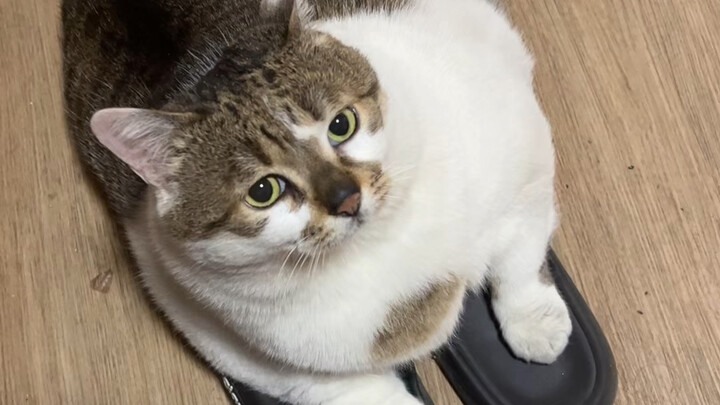 Nah, sekarang sudah baik-baik saja, tapi jadi diare nih.