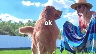 Nhìn chú chó từ "góc nhìn của xương"