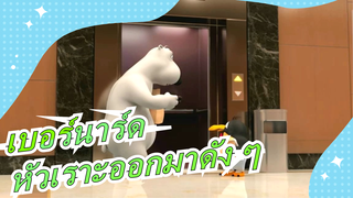 เบอร์นาร์ด ซีรีย์|ยกโทษให้ฉัน,ไม่สามารถหยุดหัวเราะออกมาดัง ๆ ได้