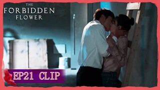 EP21 Clip | He domineeringly chases the love of the president! | The Forbidden Flower | 夏花 | ENG SUB