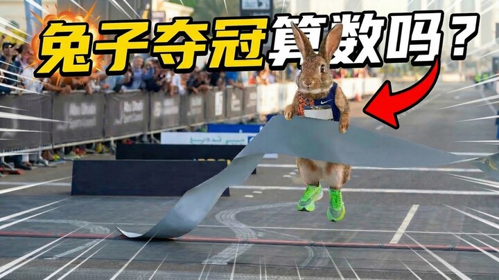 Khi “thỏ chạy” marathon về đích: Vận động viên vô địch có được tính không?