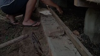 dilakoni aeee
