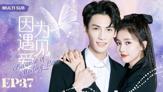 MUTLISUB【因为遇见爱/Because of Meeting Love】▶EP 37💋美艳核心研究员爱上帅气“掮客”，一场势均力敌的爱情即将拉开序幕....#罗云熙#宋茜❤️丸子甜宠剧场