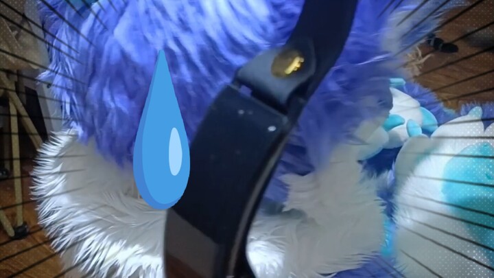 [Costume] How can you get a cat to willingly wear a collar?