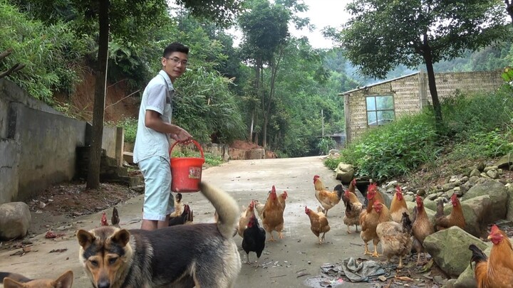 Jinyang Brothers: Feeding all the little animals in the enclosure—just look how happily they’re eati