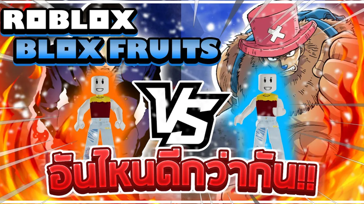 Roblox Blox Fruits ระหว่าง "DEATH STEP" กับ "SUPERHUMAN" อันไหนดีกว่ากัน! (600 MASTERY!!)