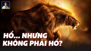 HỔ RĂNG KIẾM: TÊN LÀ HỔ NHƯNG… KHÔNG PHẢI HỔ?