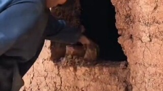 A three-minute video captures my journey over the past four years, and I'll keep pushing forward.