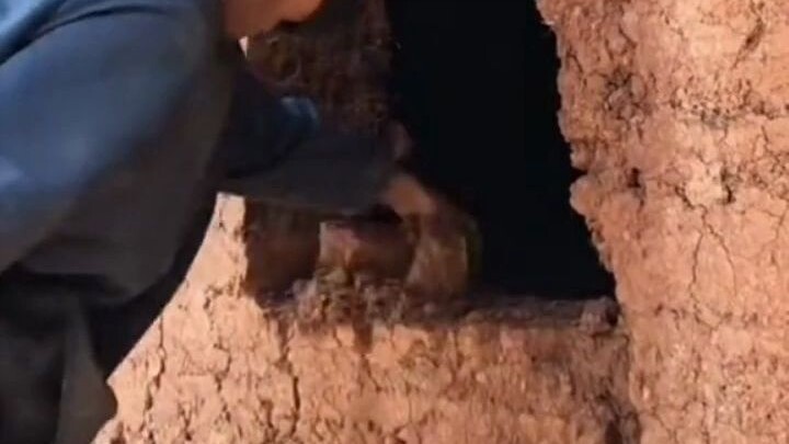 วิดีโอสามนาทีบันทึกเส้นทางกว่าสี่ปีของตัวเอง ฉันยังคงต้องพยายามต่อไป