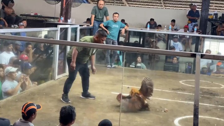 WIN‼️- 11 months Black Stag mabilisan lang