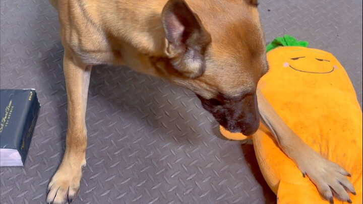 هل هذا ضربة بتقليص الأبعاد؟