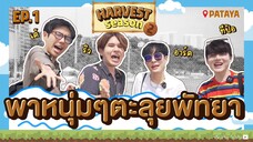 [OFFICIAL] HARVEST SEASON @PATTAYA EP1 | Studio Wabi Sabi