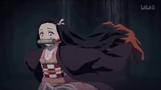 3 phút đốn tim cả nhà của Nezuko, đáng yêu hết sẩy - Kimetsu no Yaiba