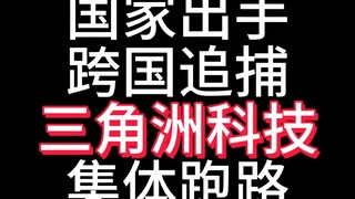 Nanshan Pizza Hut calls on the government to intervene! Delta Tech collectively flees!