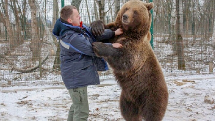 ชาวรัสเซียปฏิบัติต่อมะเขืออย่างไร?