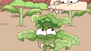 The scraps are transformed into a vest and transformed into fruit broccoli