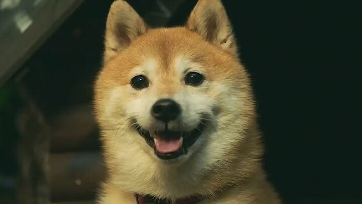 Hilarious live-action adaptation: The toughest delinquent student acts super good in class every day