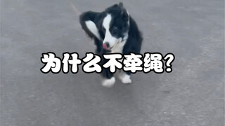 Why isn't he on a leash? Because the whole road belongs to his family.