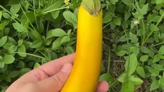 人生走好每一步，全靠身体这棵树；平平安安摇钱树，健健康康聚财富；我们养好这棵树，健康财富全入库！    早安吉祥！🌴🌹