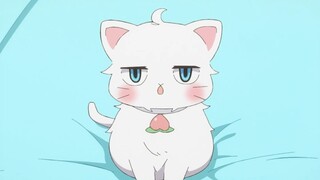 Immersive White Peach Sucking (Cat Meow Version)
