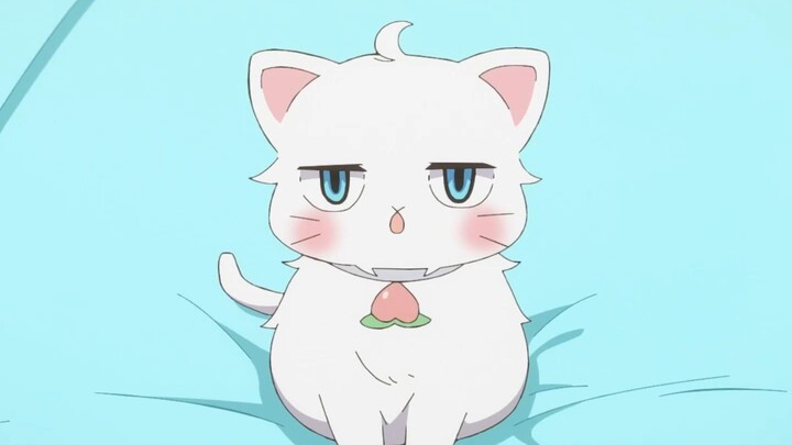 Immersive White Peach Sucking (Cat Meow Version)
