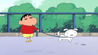 老太太认错狗把小白带回了家，小新自制签名卡片找小白