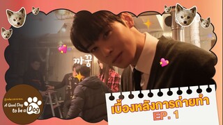 [ซับไทย] เบื้องหลังการถ่ายทำ EP.1 | A Good Day To Be A Dog | #ดูได้ที่Viu