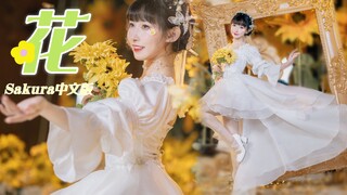 让我们如向日葵般盛开吧！鞠婧祎《花》《冬日》改编版