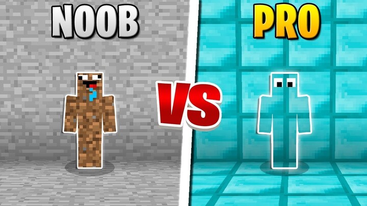 Minecraft - NOOB VS PRO (Hide and Seek in Minecraft)