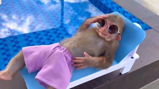 Những con người ngốc nghếch nhất hành tinh #89