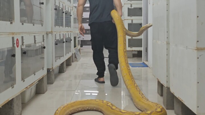 Please don't be superstitious, and don't demonize animals!